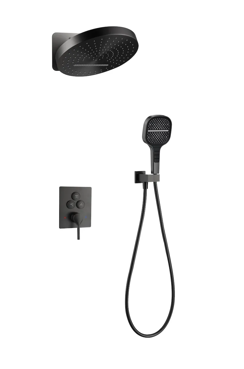 Wall-Mounted Shower System (T3005）
